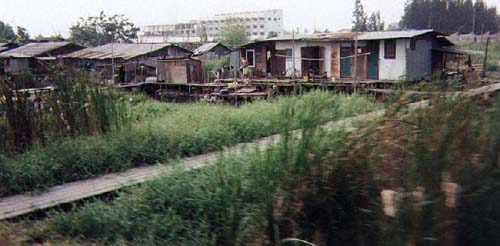 Squatters homes along the railway heading west out of Bangkok