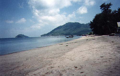 Beach near ferry dock