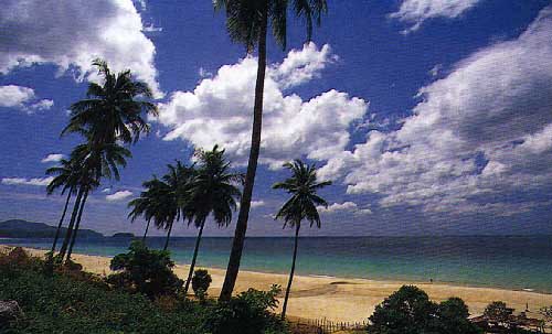 A Phuket Beach 