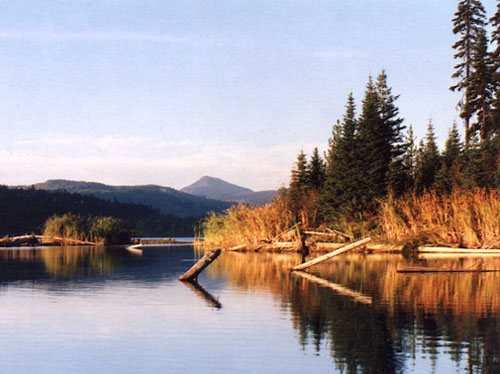 Bear Lake, near Westbank
