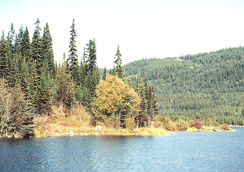 Bear Lake Provincial Park, near Peachland
