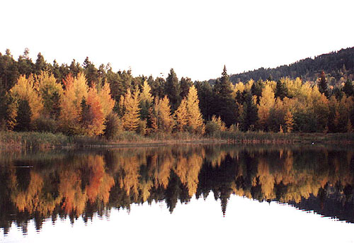 Ficke Pond in Autumn, near Westbank