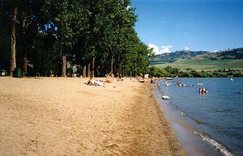 Vernon