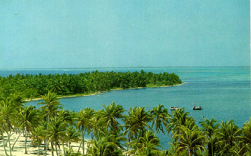 Half Moon Caye
Blue Hole-480 ft. deep 