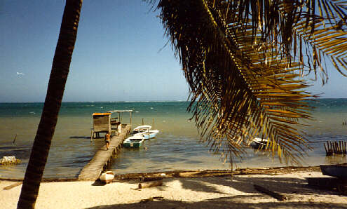Caye Caulker
The dock at Tom's Hotel