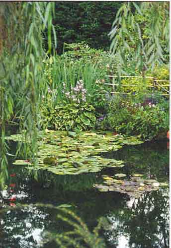 This is a classic shot of Monet's waterlily garden