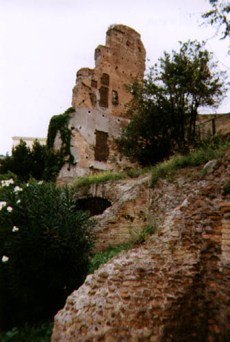 A ruin in Rome 