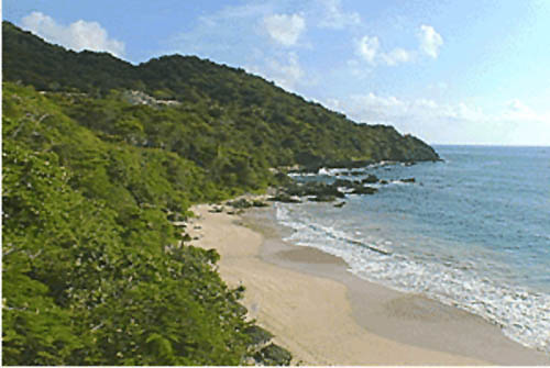 Visitors to Manzanillo can enjoy some of the area's numerous 
spectacular beaches 