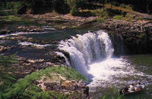 Haruru Falls 
