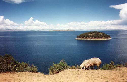 Lake Toticaca, Bolivia overlooking Isla de la Luna