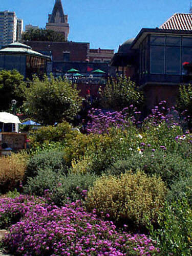 San Francisco