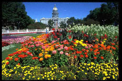 Denver State Capitol 