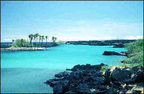 Kiholo Bay 