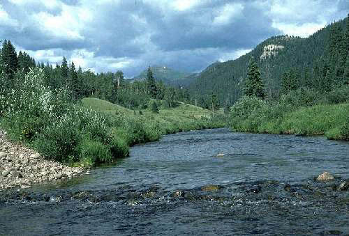 The Colorado River 